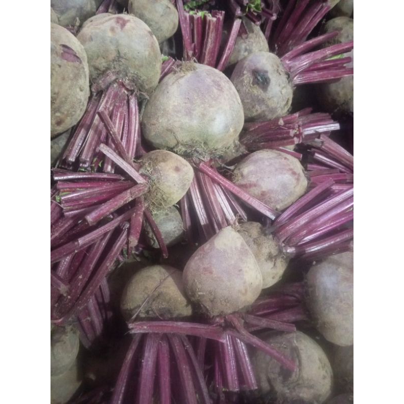 

buah beet 1kg