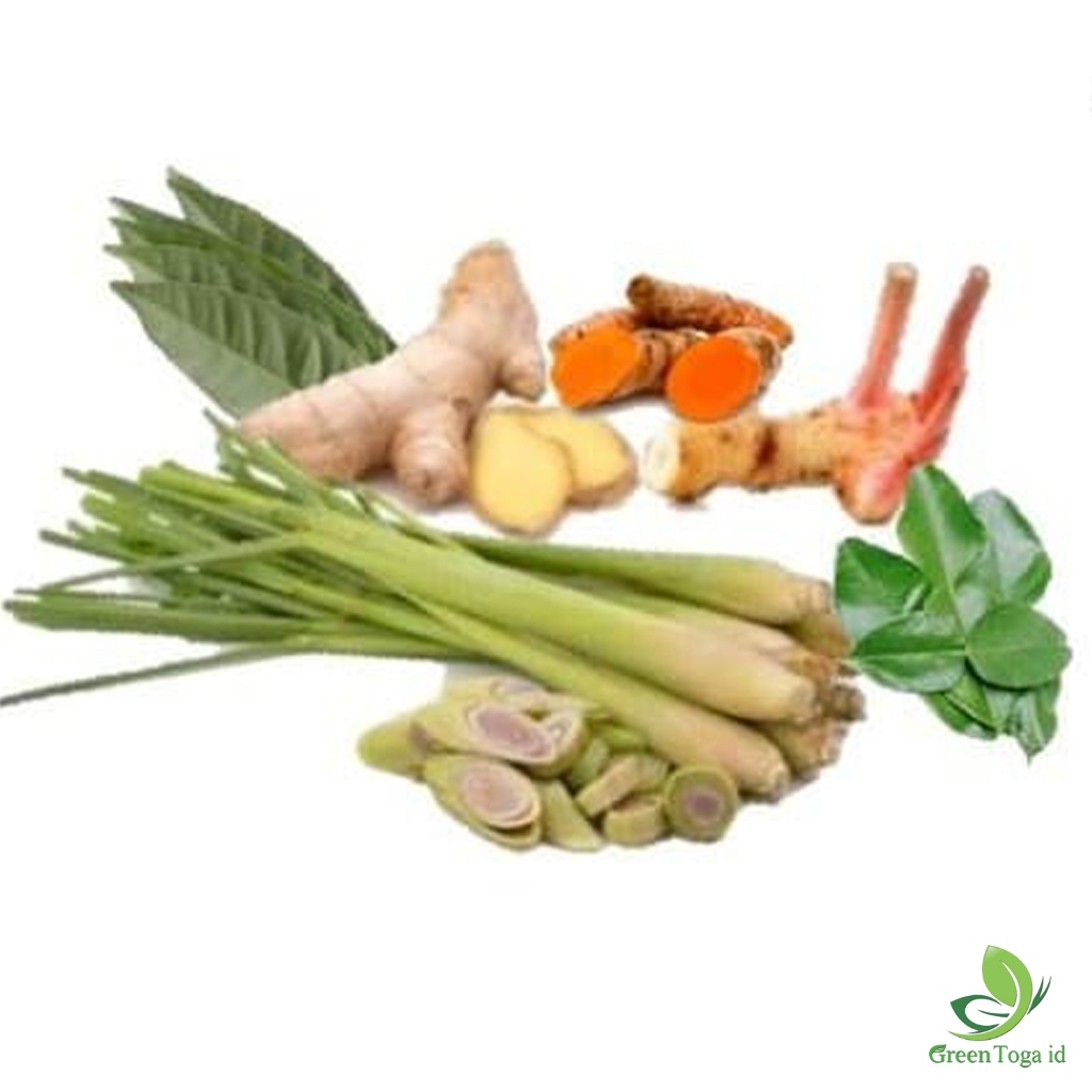 

Empon Empon Paket Bumbu Dapur