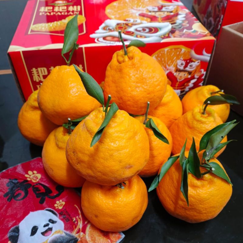 

JERUK PAPAGAN DEKOPON GIFT BOK