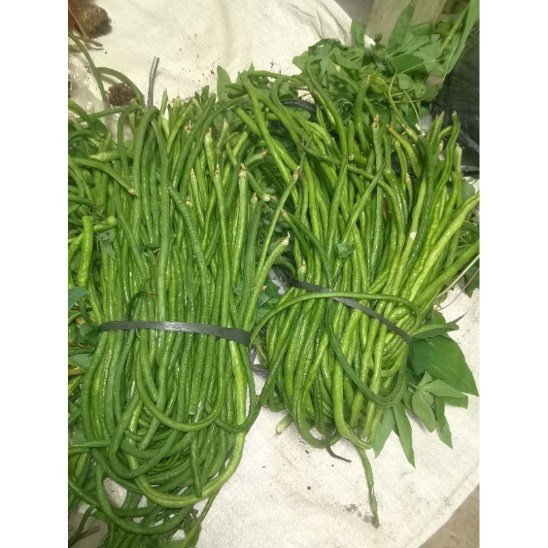 

kacang panjang 1 ikat
