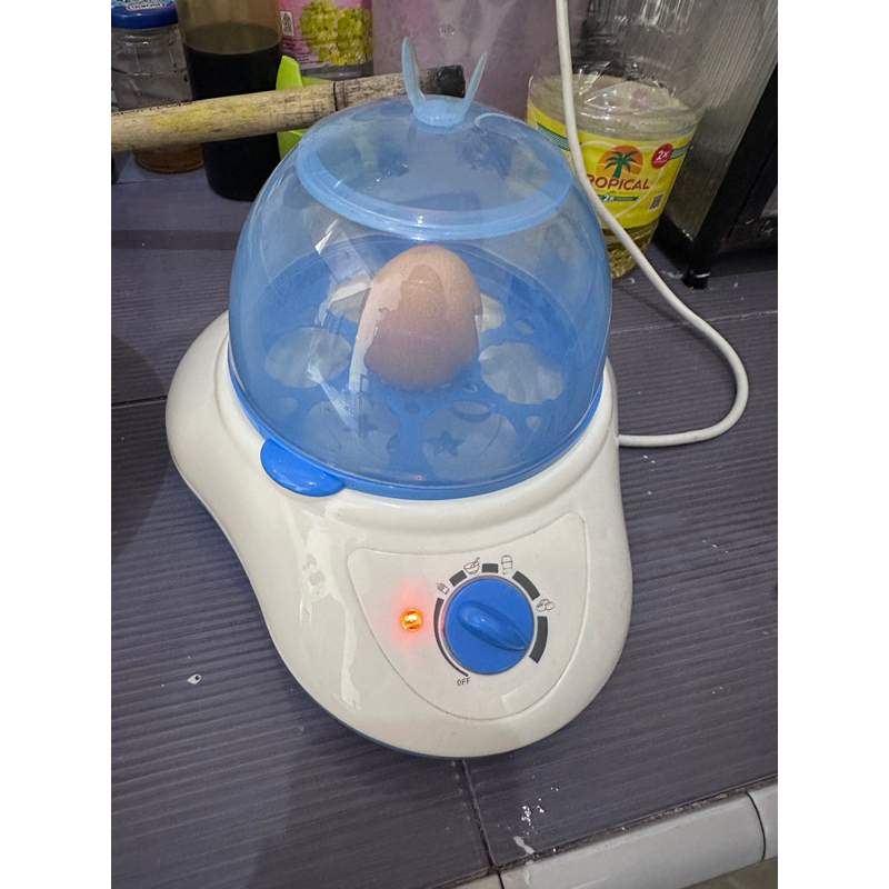 Preloved Bottle Sterilizer Baby Safe