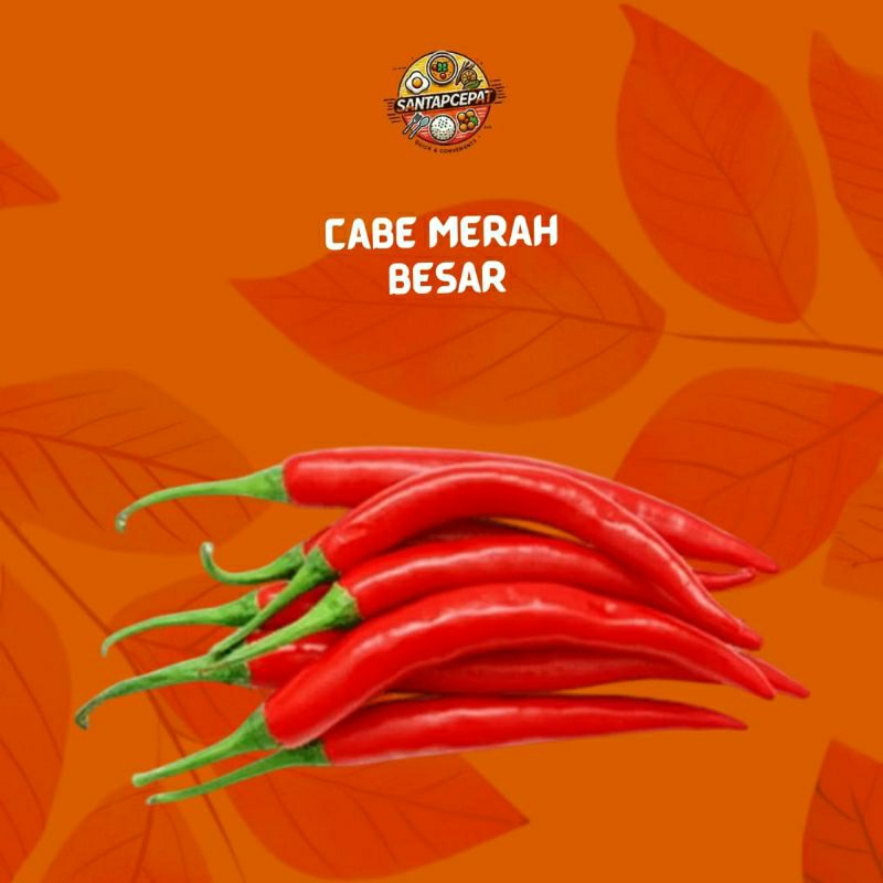 

Cabe Merah Segar – Pedas dan Menyegarkan untuk Setiap Hidangan
