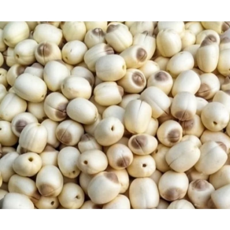 

biji teratai lianzi bertunas untuk detox 200gram