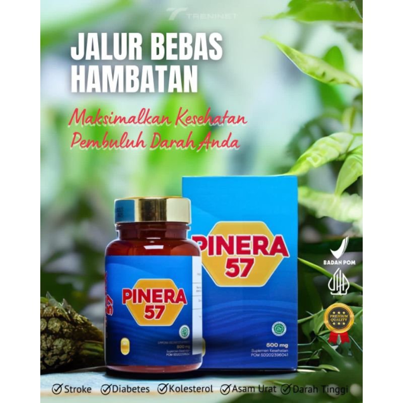 Pinera57 100% ORIGINAL 1 Box OBAT STROKE KOLESTEROL JANTUNG ASAM URAT PINERA 57 ASLI Original