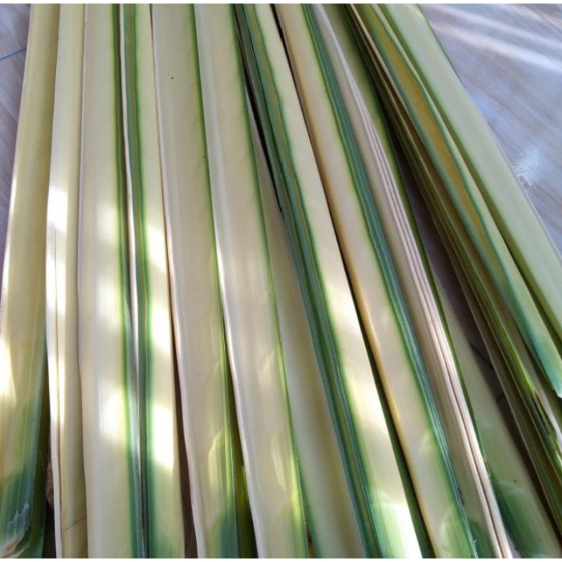 

50 JANUR KELAPA BAHAN KETUPAT