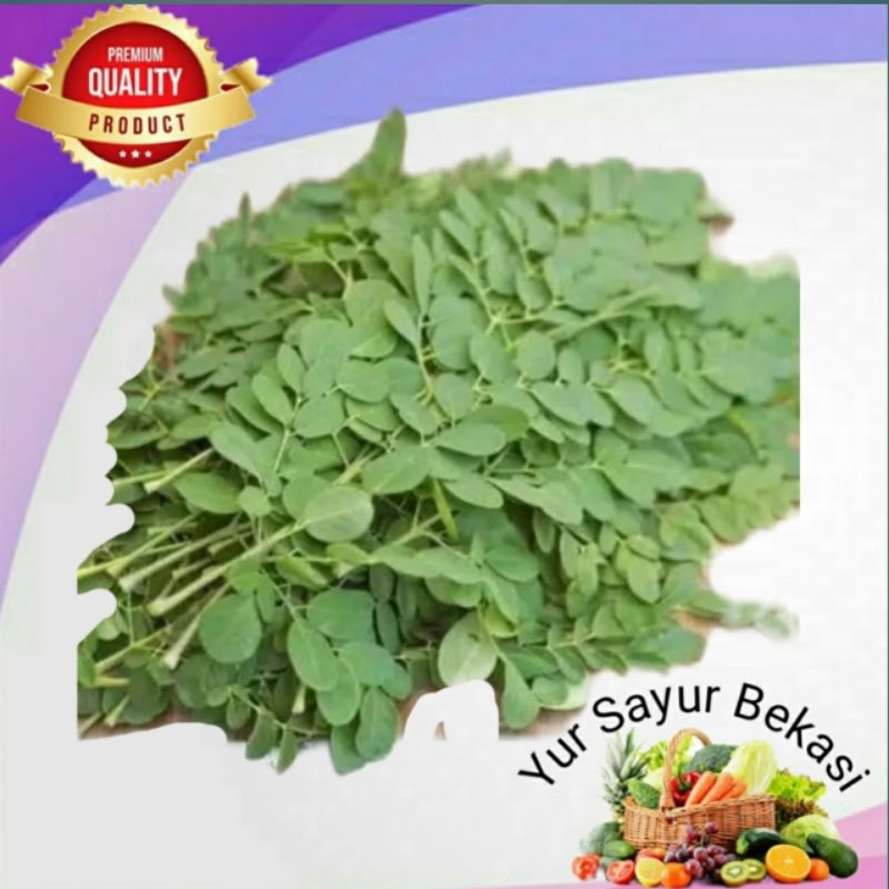 

Daun Kelor Segar Per ikat