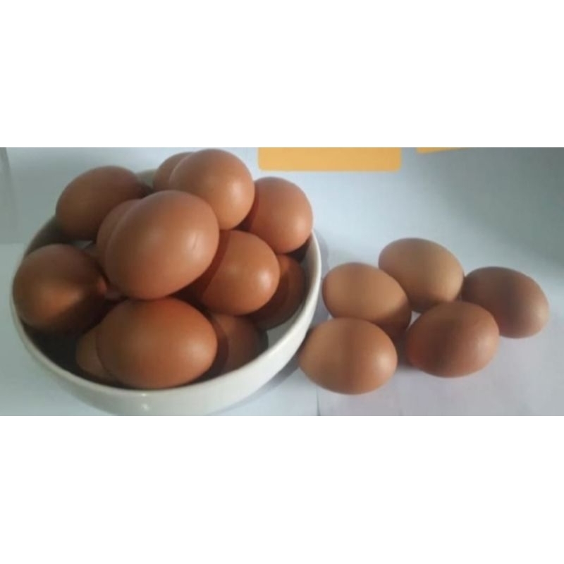 

telor ayam omega 3 ASLI lokal 1kg