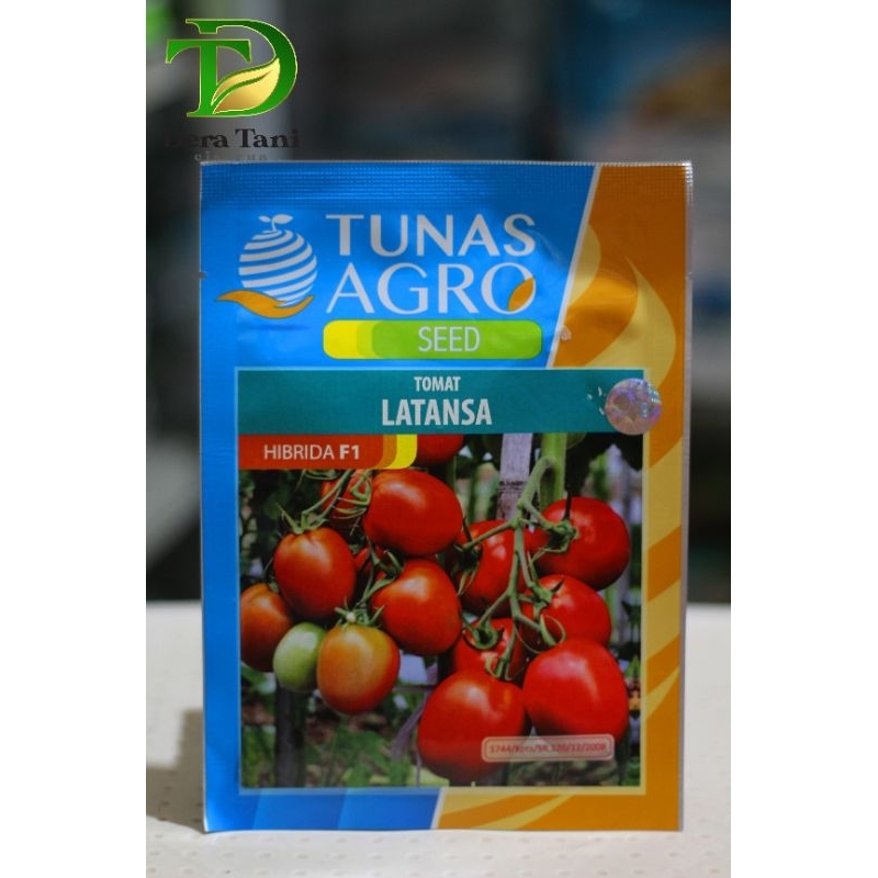 Benih Tomat Latansa Hibrida F1 Tunas Agro