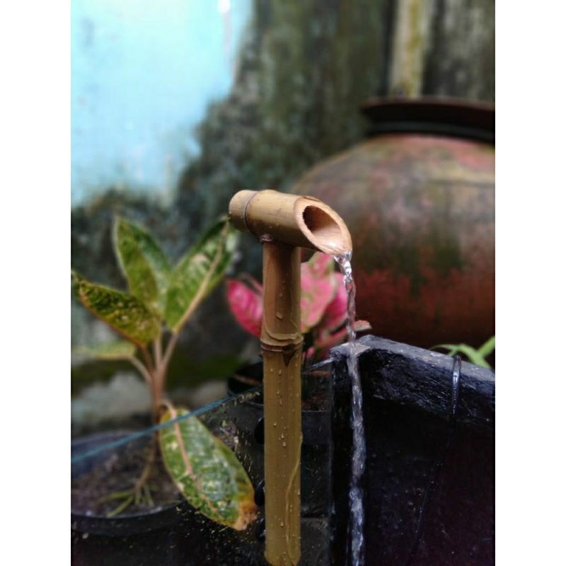 Pancuran air terjun aquarium _aquascape_ kolam