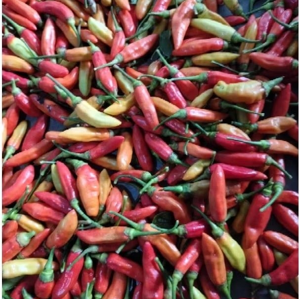 CABAI RAWIT MERAH 1kg