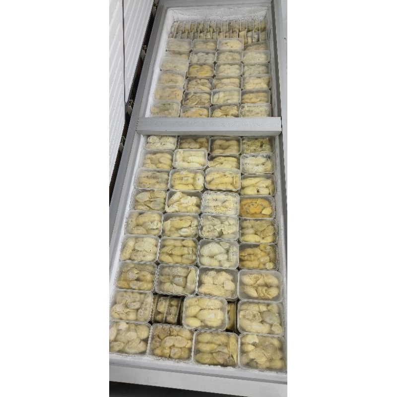 

durian kupas premium sumatra 500grm