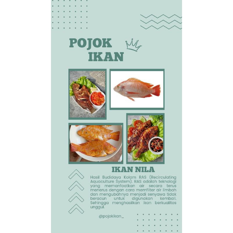 

IKAN NILA. Nila Fresh, Nila Marinasi, Nila Bakar, Nila Goreng