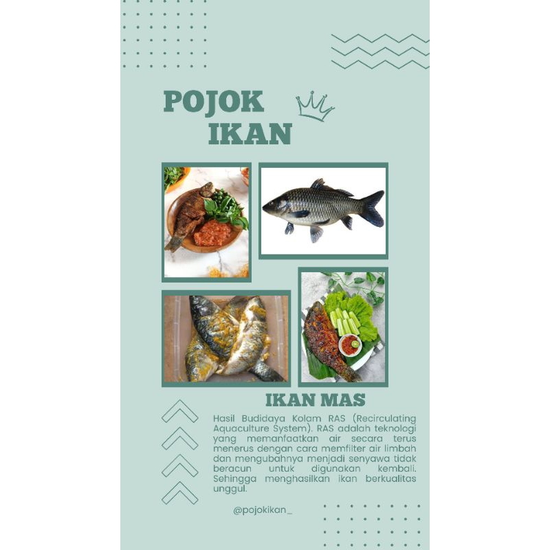 

IKAN MAS