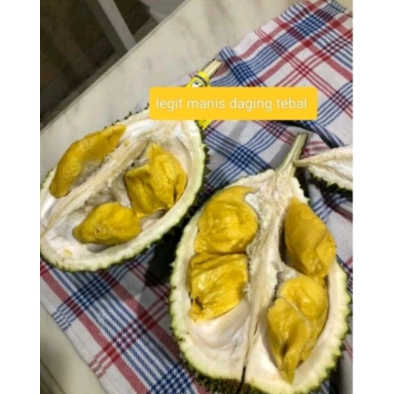 

Manis Daging Tebal Legit