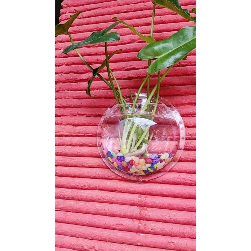 Hiasan Dinding Aquarium Bulat Diameter 17 cm Dekorasi Ruangan Akrilik