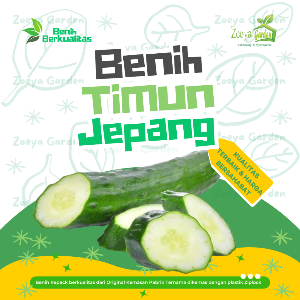 Biji /  Seed / Bibit / Benih Timun Jepang / Mentimun / Ketimun Jepang F1