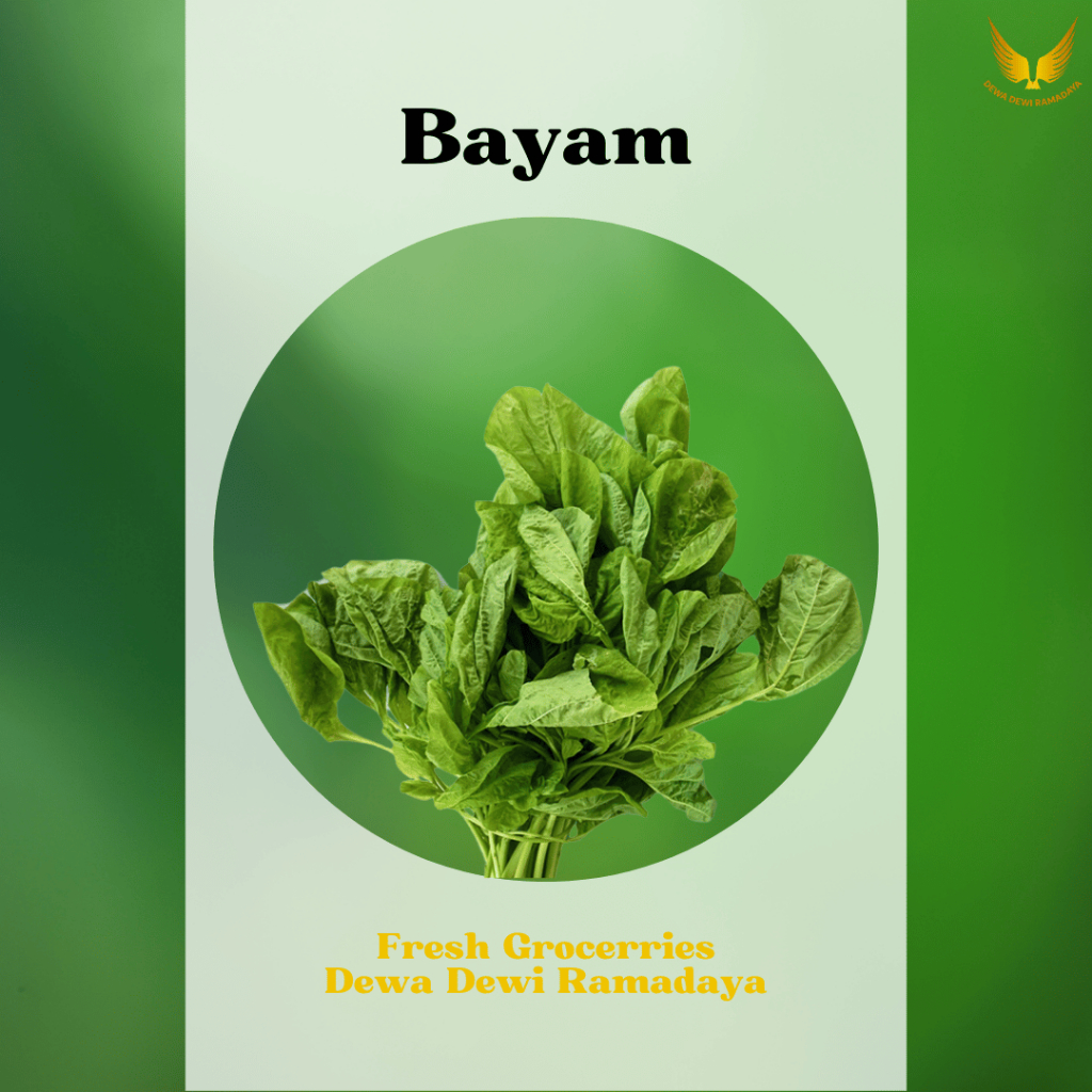 

Bayam Dewa Dewi Rama Daya