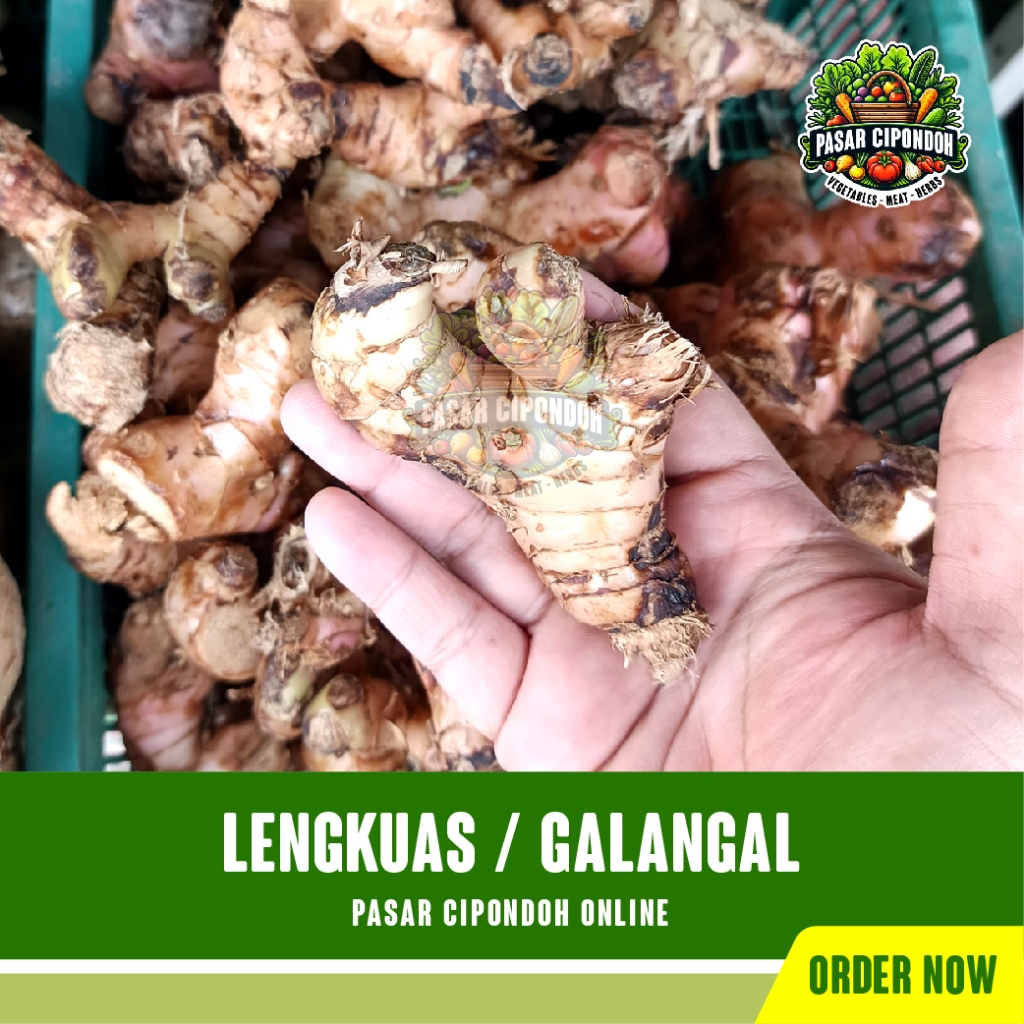 

Lengkuas Laos Laja Kelawas Langkueh Rempah Organik 250 gram / Galangal - Pasar Cipondoh Tangerang