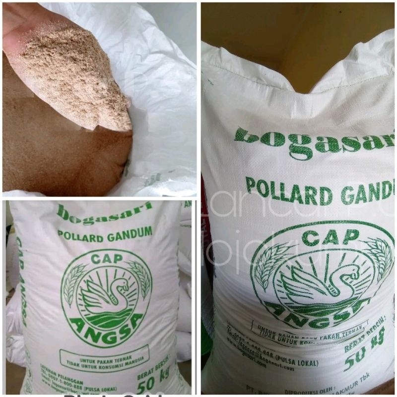 Pollard cap angsa bogasari pakan hewan ternak
