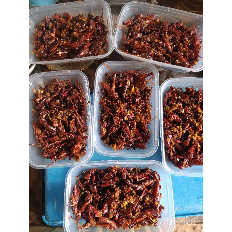 

walangkayugoreng