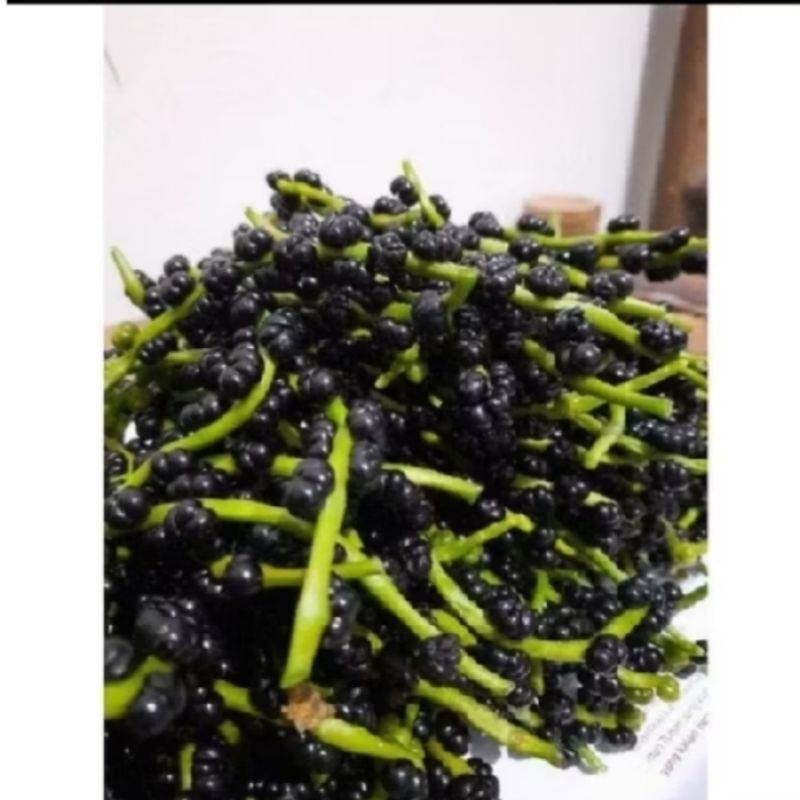 

Buah Angkung 250 biji+20biji obat stroke