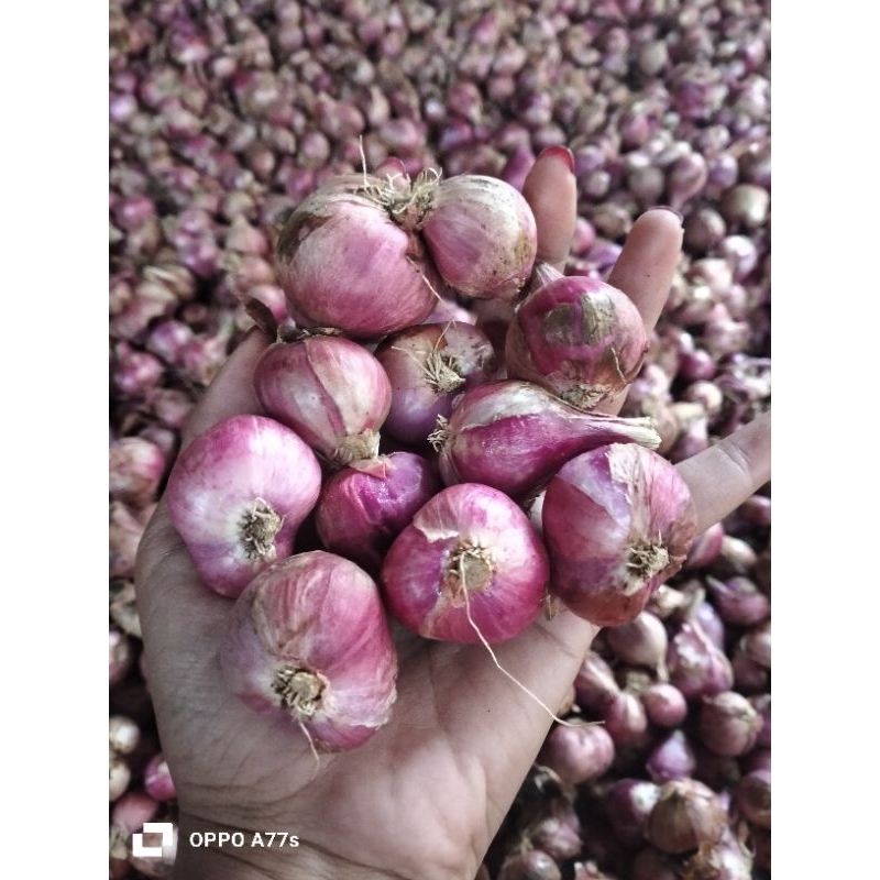 

bawang merah lokal 1kg