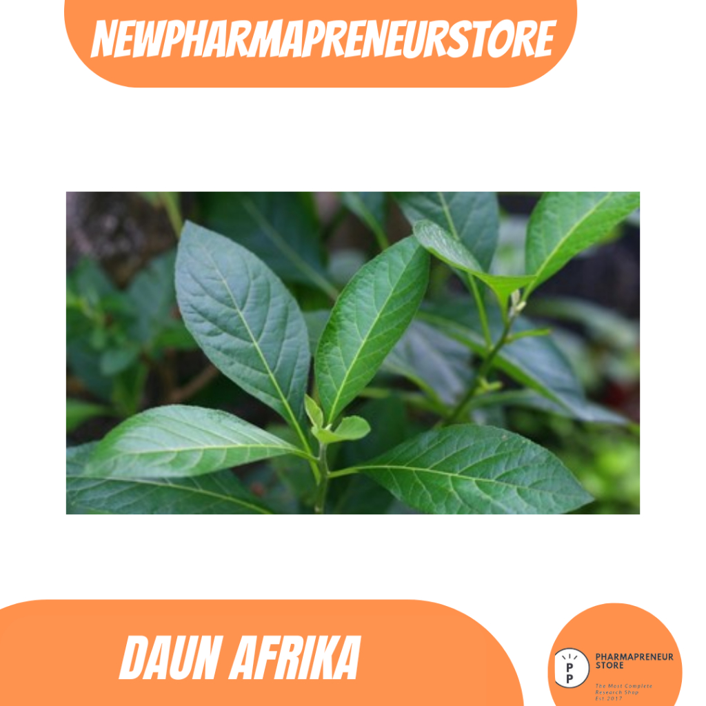 

DRIED SERBUK DAUN AFRIKA BEST QUALITY