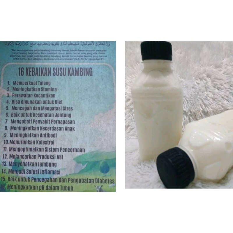 

Susu Kambing Murnia