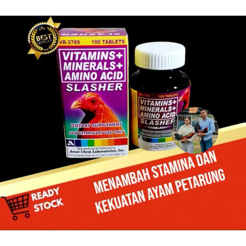 SLASHER menambah Stamina Dan kekuatan Ayam