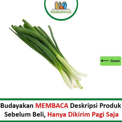 

Daun Bawang Segar Per Ikat Pasar Lampung