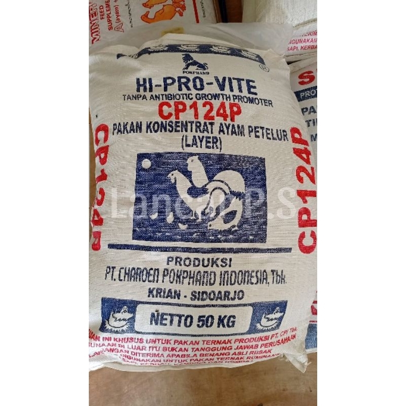 CP124P HI PRO VITE KONSENTRAT PAKAN AYAM LAYER PETELUR