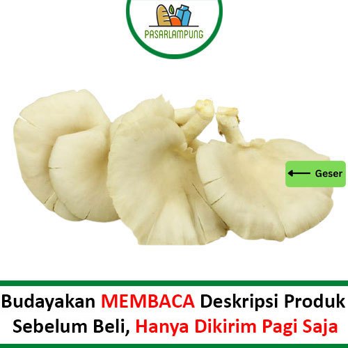 

Jamur Tiram Per Bungkus 250 Gram Pasar Lampung