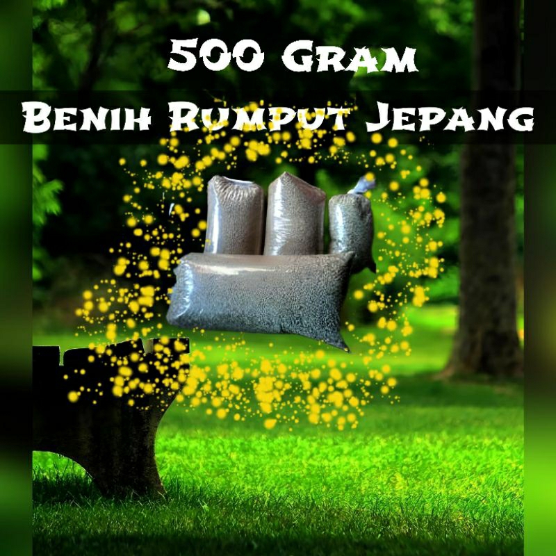 Biji Benih Rumput Jepang 500Gram - Benih Rumput Jepang