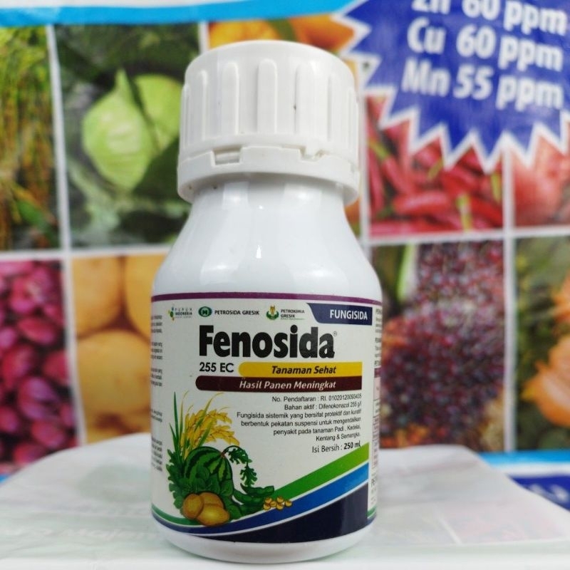 FUNGISIDA FENOSIDA 255 EC DIFENOKONAZOLE 250 ML