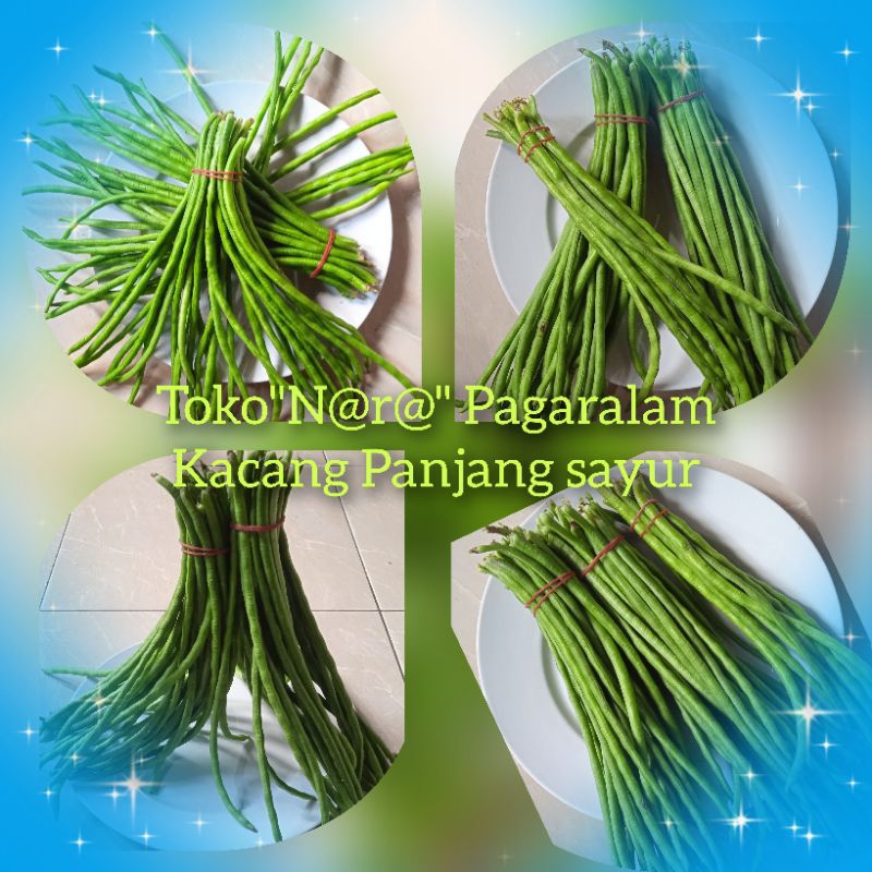 

Kacang panjang fresh, murah