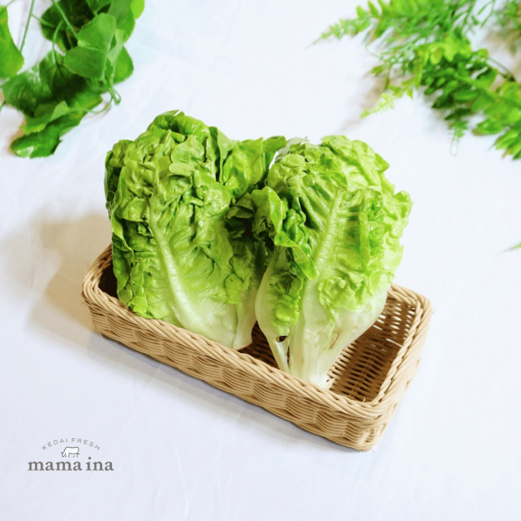 

Baby Cos Lettuce 250g