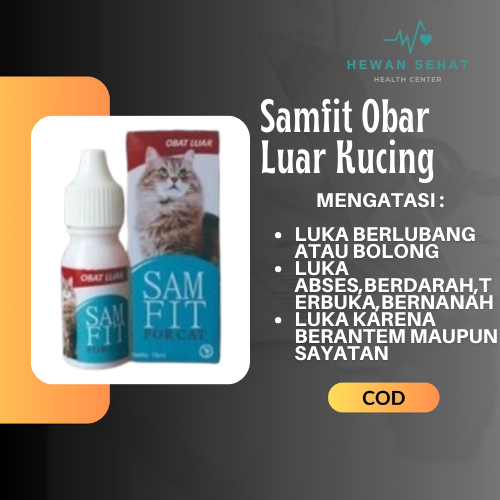 Samfit Obat Kucing Luka Terbuka Basah Borok Bernanah Abses Kucing Kitten Dewasa Obat Kucing Luar