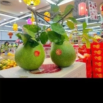 

Buah jeruk bali tangkai spesial sembahyang utuh pcs