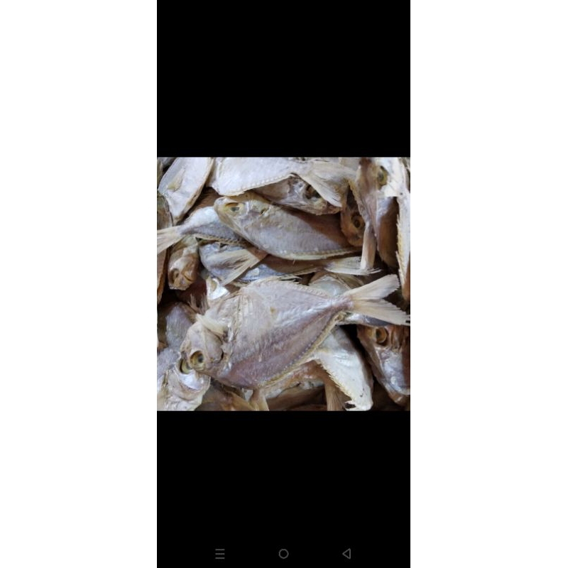 

pepetek asin