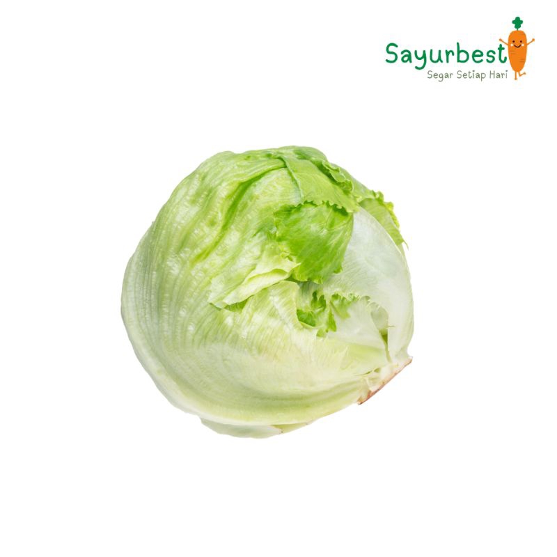 

Lettuce