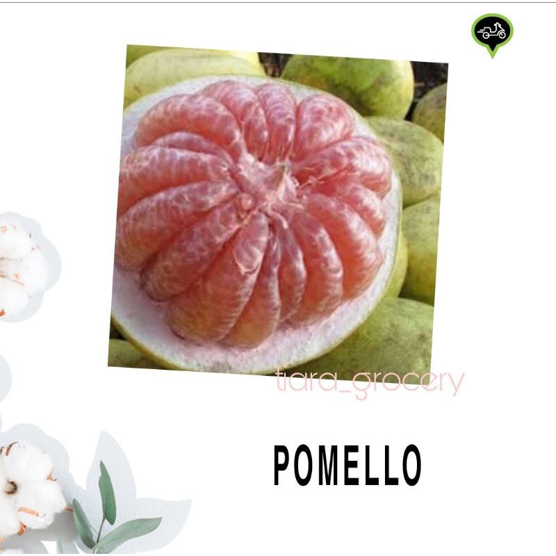 

Jeruk bali / pomello