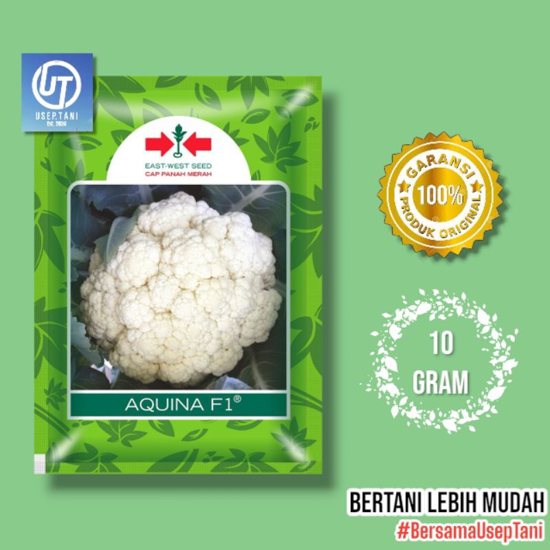 

BENIH KEMBANG KOL F1 AQUINA 10 GRAM CAP PANAH MERAH