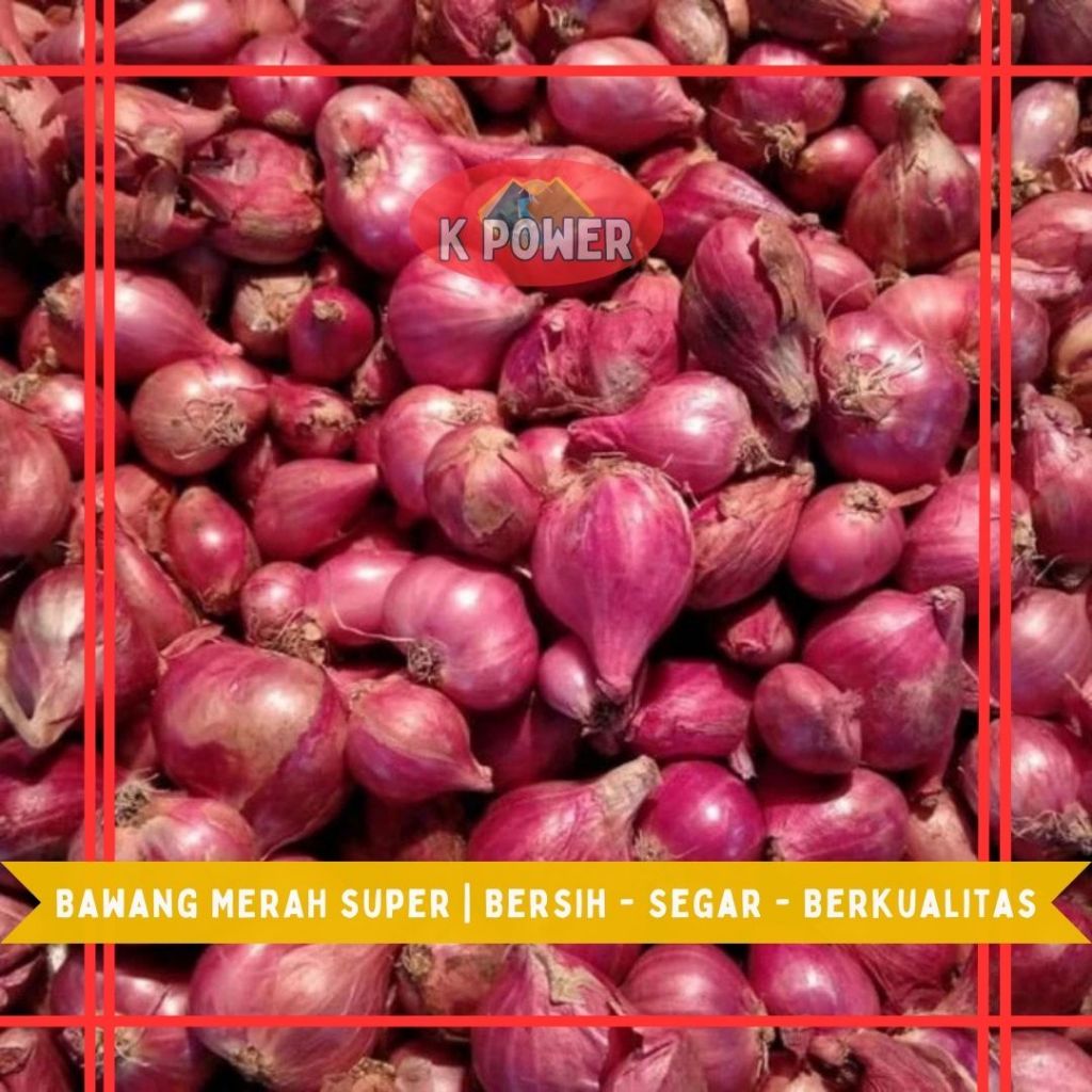 

Bawang Merah Kualitas Super 1Kg / 500Gr - Besar - Sedang - SEGAR