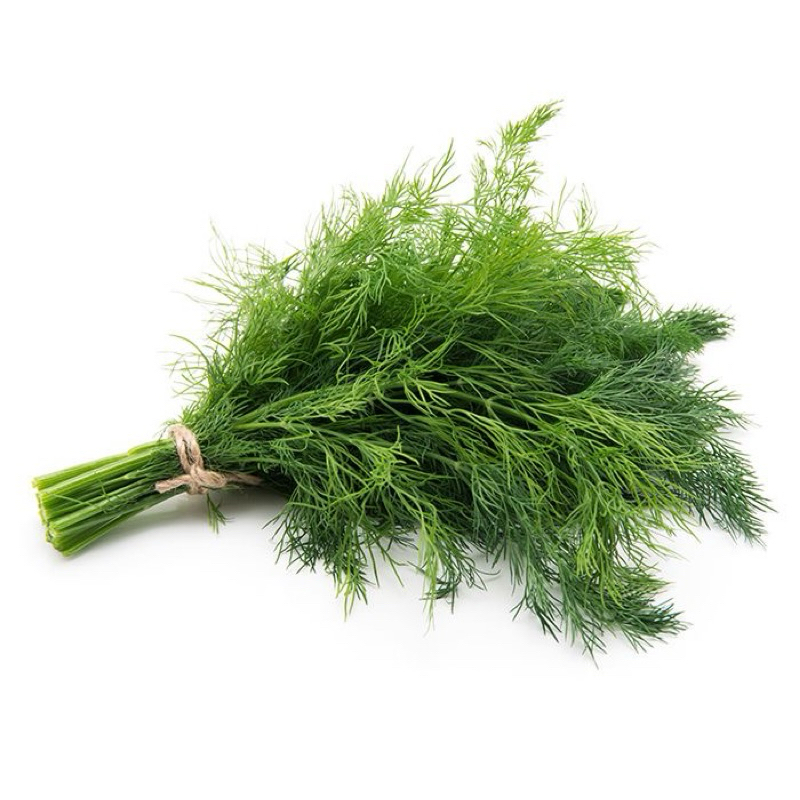 

daun dill 100gr