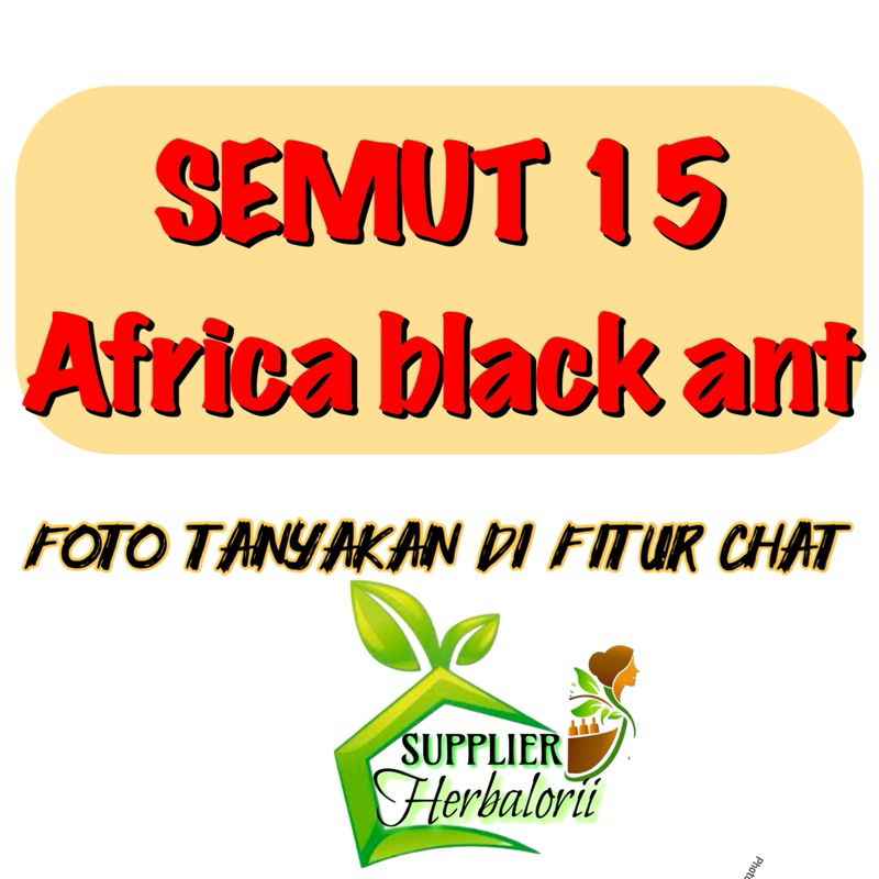 

semott15