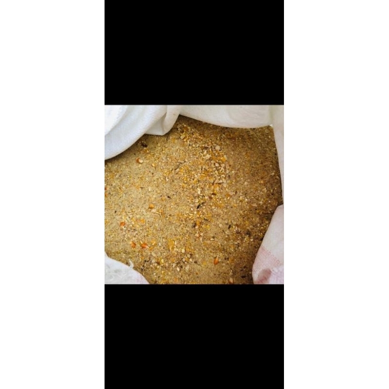 Pur khusus ayam petelur