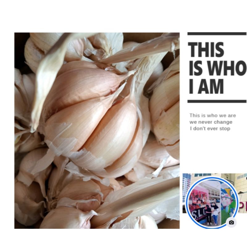 

Bawang Putih Fresh 1 kg