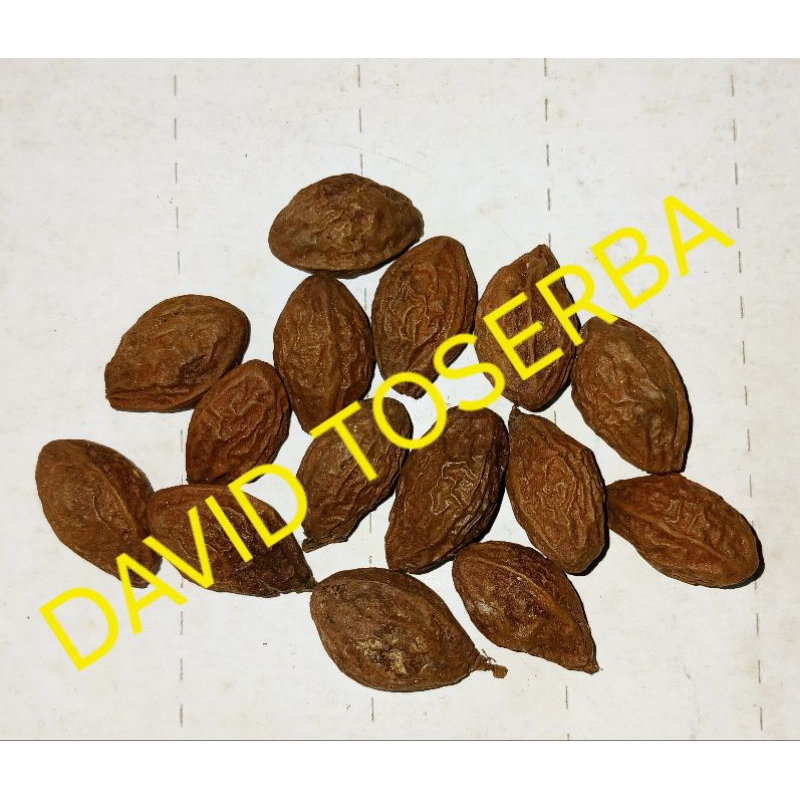 

buah tempayang kembang semangkuk super buah besar