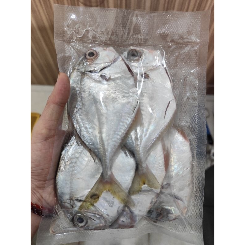 

Ikan cantik manis