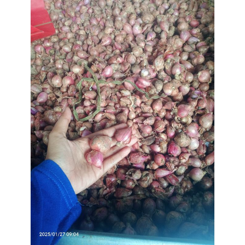 

bawang merah 1kg campur